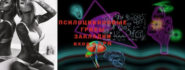 ECSTASY Алзамай