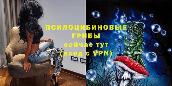 ECSTASY Алзамай