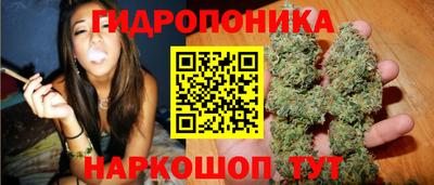 шишки Краснокаменск