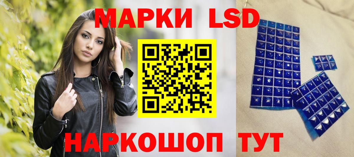 цена наркотик  Вход с VPN  Камышин  Наркотические марки 1,8мг 